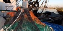 Pesca muestra su apoyo al sector del arrastre y el palangre de fondo
