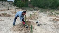 Pulp&iacute; lleva a cabo la plantaci&oacute;n y mejora de zonas verdes en el municipio