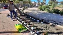 Hu&eacute;rcal de Almer&iacute;a inicia el proyecto 'Replantarnos contra el cambio clim&aacute;tico'