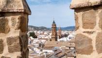 Los municipios, aliados estrat&eacute;gicos en la lucha contra el cambio clim&aacute;tico