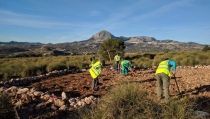 AlVelAl recibe un certificado de Evaluaci&oacute;n de Ecosistemas Forestales
