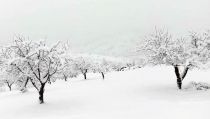 Contin&uacute;a la alerta naranja por fuertes nevadas en el Valle del Almanzora y Los V&eacute;lez