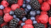 Andaluc&iacute;a bate r&eacute;cord en exportaciones de frutos rojos con un crecimiento del 3,2%