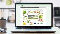 Extenda potencia el consumo de frutas y verduras andaluzas en Canad&aacute;