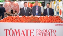 El agro almeriense destaca en Fruit Attraction con el tomate como producto estrella