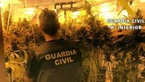 Encuentran un cad&aacute;ver en una vivienda que escond&iacute;a una plantaci&oacute;n de marihuana