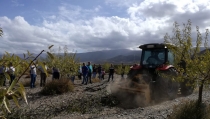 AlVelAl, Premio Roger Kaufman 2026 por su impacto social y ambiental