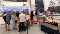 Una exposici&oacute;n en la UAL muestra la diversidad marina del Mar de Albor&aacute;n